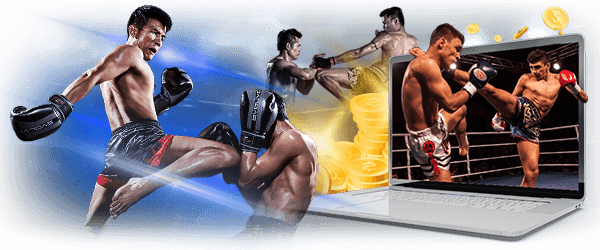 AFB Boxing x